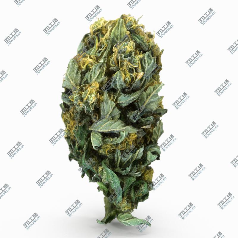images/goods_img/2021040233/Cannabis Bud 04 model/2.jpg